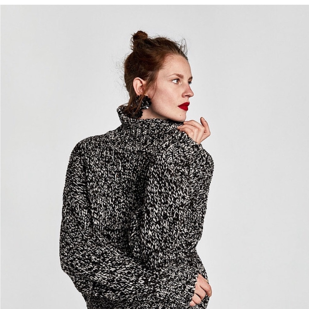 ZARA Oversized Sweater